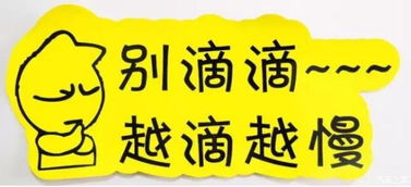 實習車上路 真的可怕嗎？解析馬路上的“隱形警報”與汽車陪駕服務